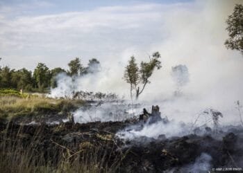 Natuurbrand in bosgebied bij Tilburg