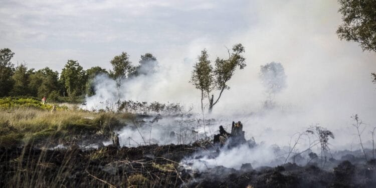 Natuurbrand in bosgebied bij Tilburg