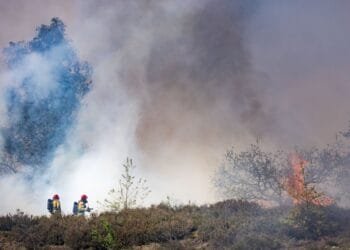 More fires break out at Dutch military training grounds