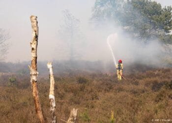 Asielzoekerscentrum Budel volledig ontruimd om natuurbrand