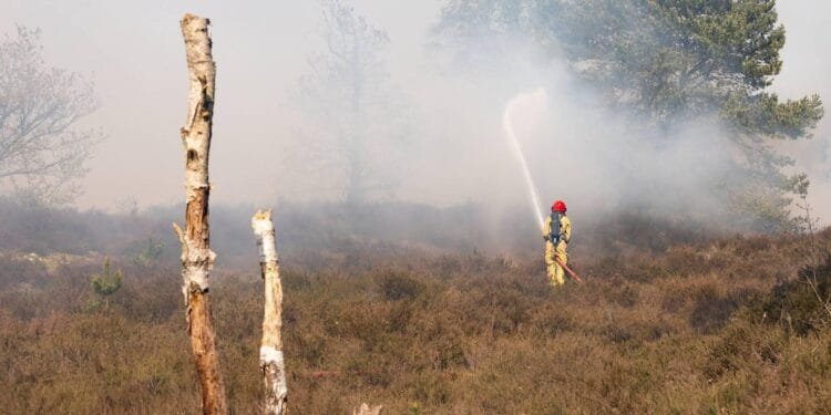 Asielzoekerscentrum Budel volledig ontruimd om natuurbrand