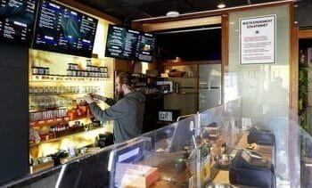 vorig jaar 42 overtredingen bij telers wietexperiment