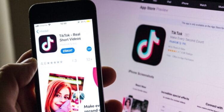 Inspectors link school violence to social media, support ban