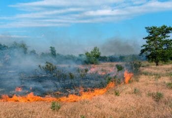 Podcast: The Ready … Aim … Wildfire! Edition