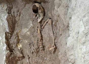 Dutch archaeologist arrested for keeping “d’Artagnan’s” bones