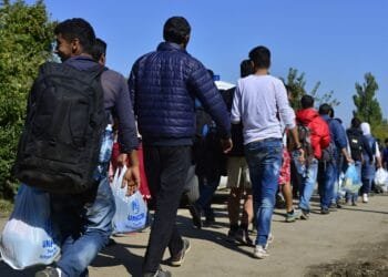 Senate approves EU asylum pact, reviving rejected rules