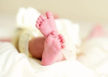 Dutch birth rate plummets 16% in the last 10 years