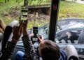 Cheetah escapes from safari park in Beekse Bergen