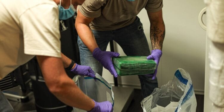 Organised crime becoming “state within a state”, report warns