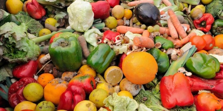 Food waste falls but Netherlands is off track for 2030 goal