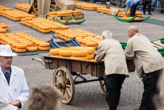 Dutch destinations: there is more to Alkmaar than cheese