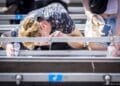 Evenementen wijzen bezoekers op voorzorgsmaatregelen tegen hitte