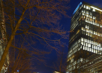 Employers not happy with Dutch cabinet performance so far