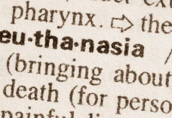 Netherlands records first euthanasia death of child under 12
