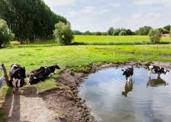 RIVM issues smog warning as temperatures climb and winds drop