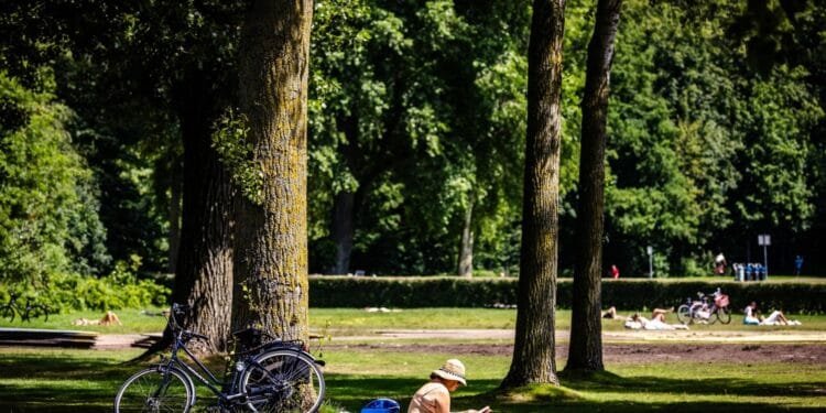 Weeronline: officieel warmste 24 juni ooit gemeten