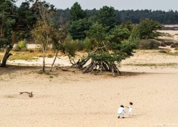 Zes bufferzones van kilometer in Brabant, drie in Drenthe