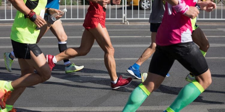 Marathon cancelled after safety plan drawn up by bogus medic