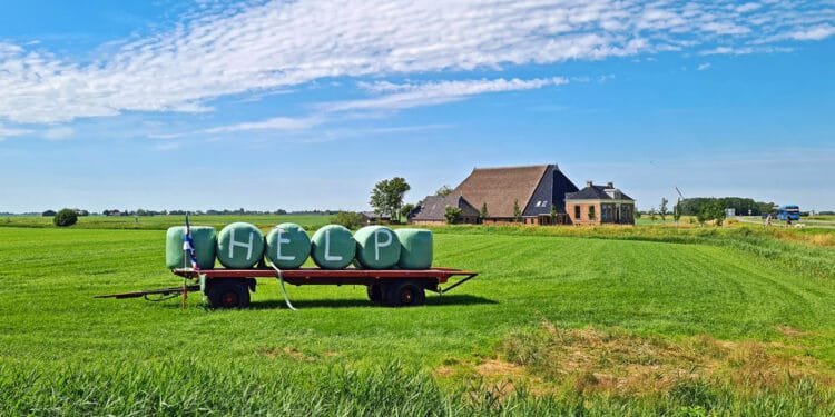 Government plans 1km low-nitrogen zones in plan to cut pollution