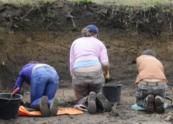 The first dig at a Dutch medieval battlefield, 800 years on