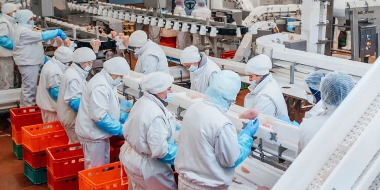Meat sector vows to end foreign worker abuse to avoid ban