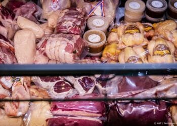 Kabinet komt met verbod op uitzendkrachten in vleessector