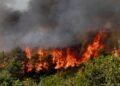 Duizenden mensen geëvacueerd om natuurbranden in Zuid-Frankrijk