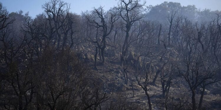 Natuurbrand bij Costa Brava onder controle