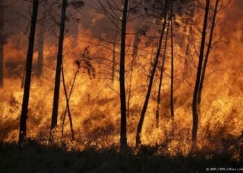 Veel slachtoffers Spanje mogelijk buitenlands, meerdere vermisten