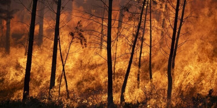 Veel slachtoffers Spanje mogelijk buitenlands, meerdere vermisten