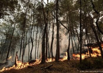 Natuurbranden bij Parijs hebben al ruim 1900 hectare verwoest
