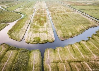Watertekort in Nederland, extra maatregelen nodig vanwege droogte