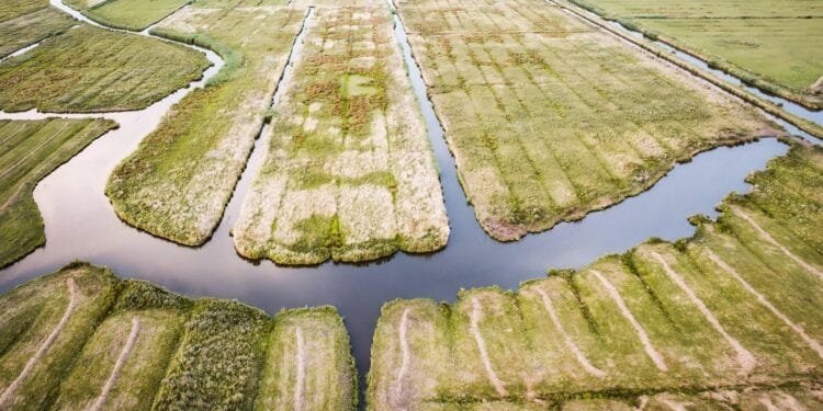 Watertekort in Nederland, extra maatregelen nodig vanwege droogte