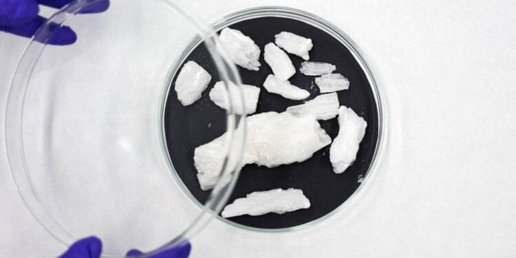 Ruim 9 procent meer drugsmisdrijven in eerste halfjaar