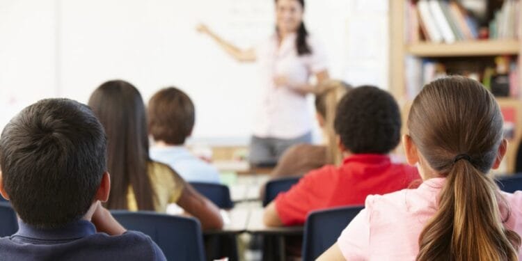 Class ranking skews school advice for Dutch 12-year-olds: Study