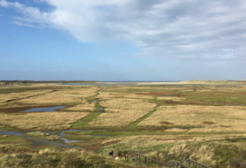 Body parts found on Texel identified as Afghan refugees