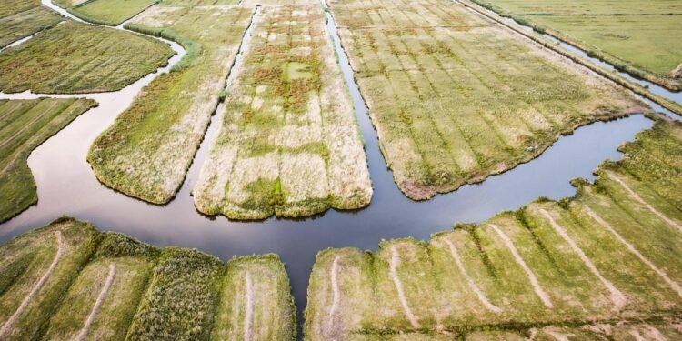 Rijkswaterstaat: neerslagtekort in Nederland verder toegenomen