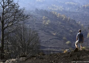 Reisadvies Spanje naar geel om natuurbranden