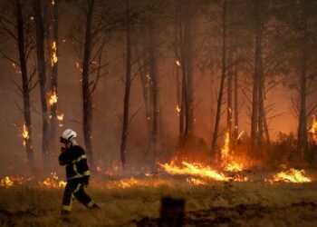 Nederlandse Jeanine (64) moest door bosbrand Frankrijk in auto slapen: ‘Heb mijn eigen plan getrokken’