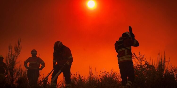 WMO waarschuwt voor sterke El Niño in najaar