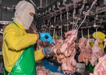 Meat industry faces agency staff ban over abuse of workers