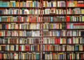 What books to take for your summer holiday