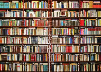 What books to take for your summer holiday