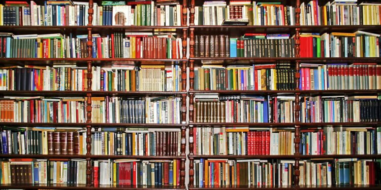 What books to take for your summer holiday