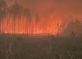 Natuurbranden verwoesten honderden gebouwen in staat Washington