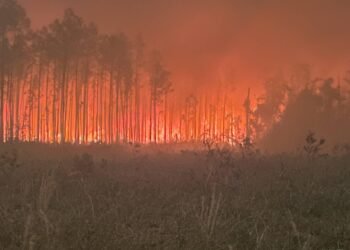 Natuurbranden verwoesten honderden gebouwen in staat Washington