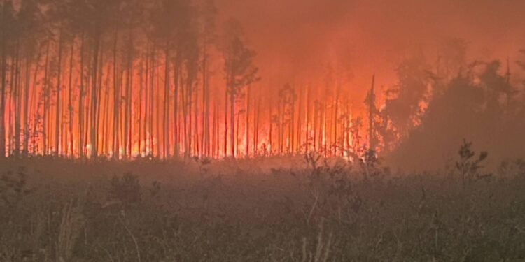 Natuurbranden verwoesten honderden gebouwen in staat Washington