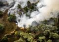 Grote natuurbrand ten oosten van Rosmalen