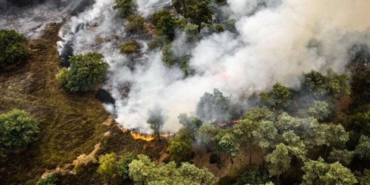 Grote natuurbrand ten oosten van Rosmalen