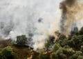 Gebied van 100 hectare getroffen door natuurbrand Noord-Limburg
